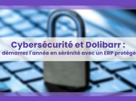 Image-Articles-OpenSaaS-cyber-securite-dolibarr